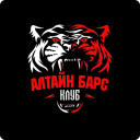 Алтайн Барс клуб (Шинэ Үеийн Барсууд)