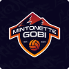 Mintonette Gobi Volleyball Club